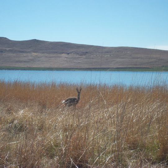 Sterkfontein Dam Nature Reserve