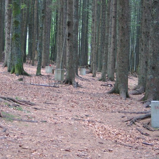 Kraj poslednjega boja Pohorskega bataljona