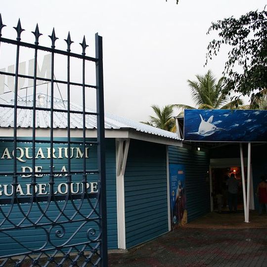 Aquarium de Guadeloupe