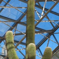 Foellinger-Freimann Botanical Conservatory