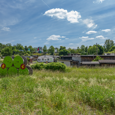 Kleintierzuchtverein Krebsbachgrund e.V.
