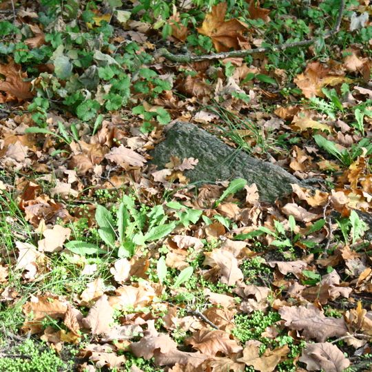 Großsteingrab SÜP 2