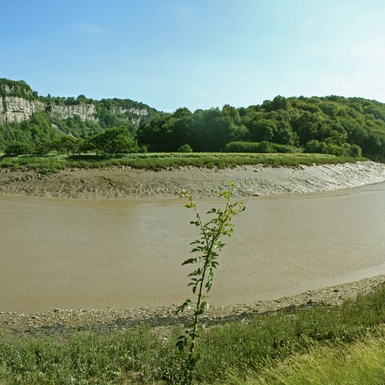 Lower Wye Gorge SSSI