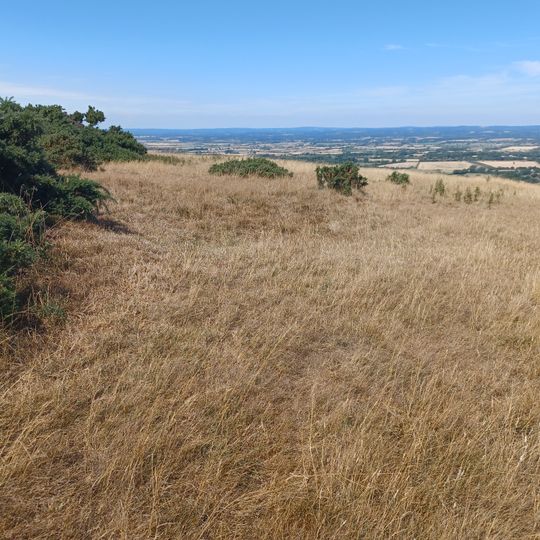 Bowl barrow 650m ESE of Jerry's Pond, forming part of a round barrow cemetery south east of Bostal Hill