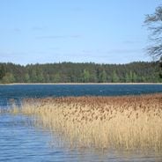 Masuria and Podlasie: lakes, primary forests and land marks in the northeast of Poland