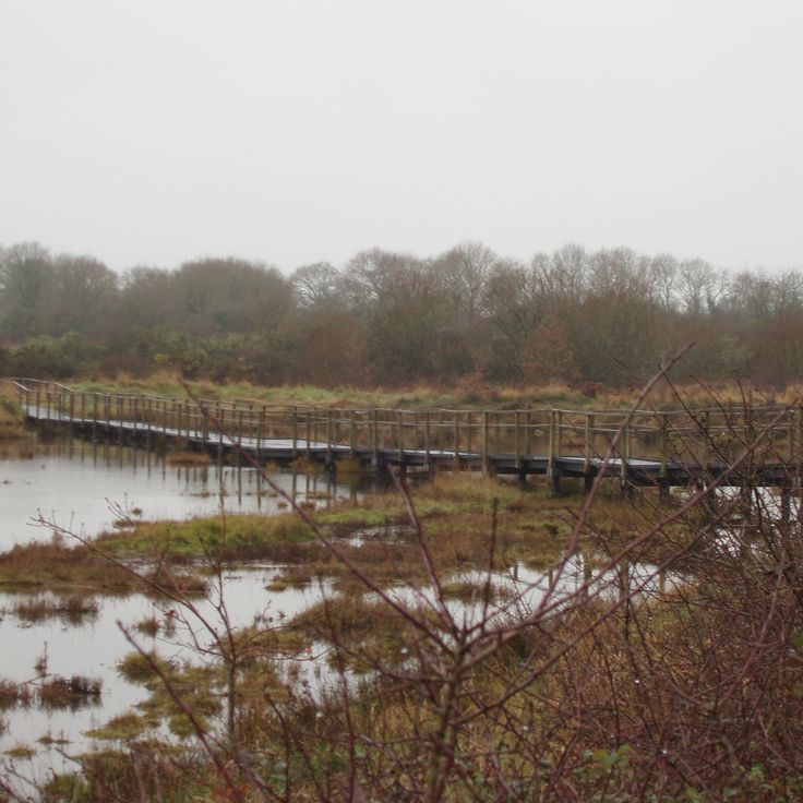 Naturreservat Marais de Séné
