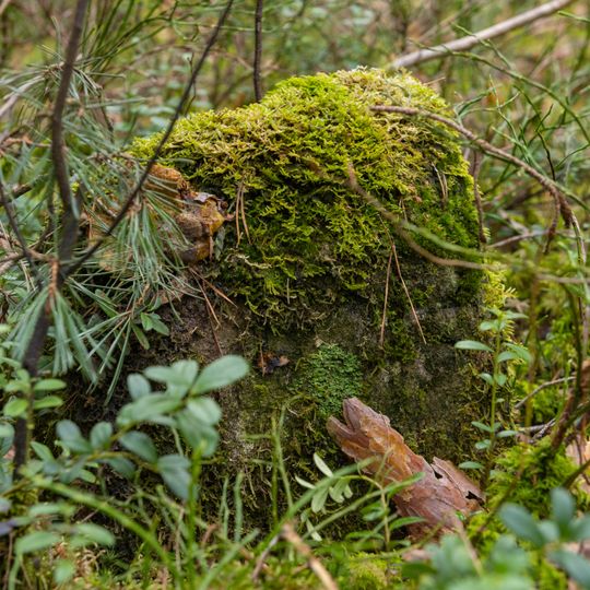 Grenzstein Fürther Stadtwald in Fürth