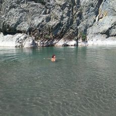 Secchiello Selvaggio