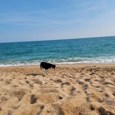 Platja del Cavaió