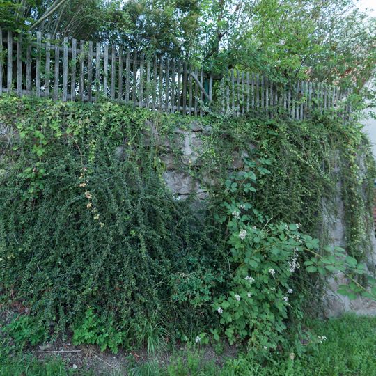 Burgruine Burgstraße 9