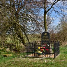 Pomník pilota u Nové Vísky