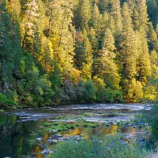 Fall Creek State Recreation Site