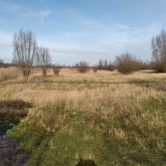Lutkemeerpark