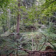 Turmburg Alt-Hollenegg