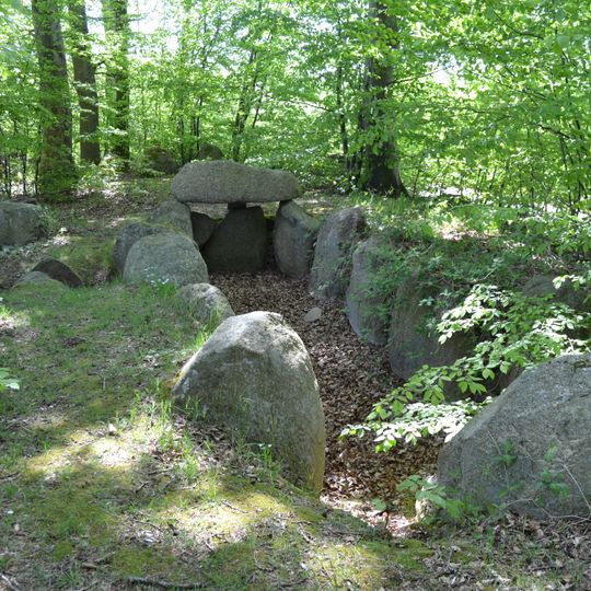 Großsteingrab Flehm 1