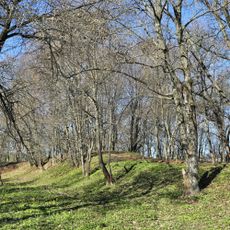 Городище «Боголюбово» (валы и культурный слой) (Боголюбово)