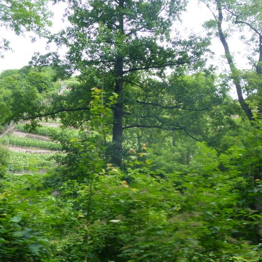 Lößnitzgrund und Lößnitzhänge