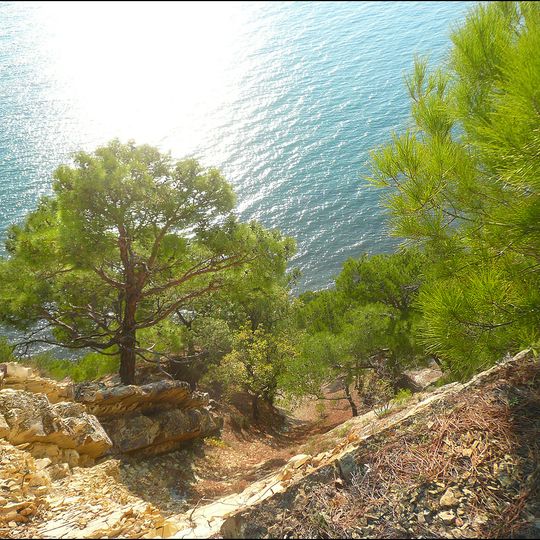 Dzhankhotsky pine forest