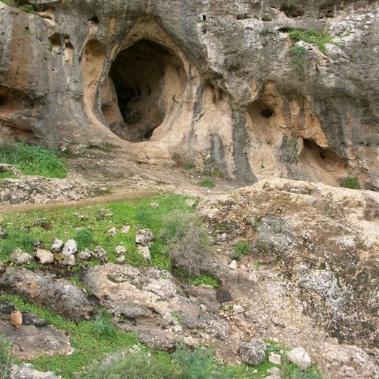 Skhul and Qafzeh hominids