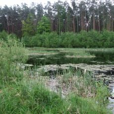 Czarny Staw