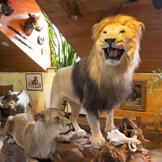 Africké muzeum Safari