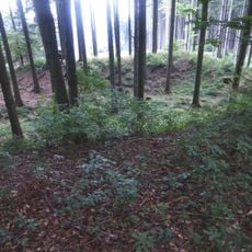 Wallburgen am Haunsberg