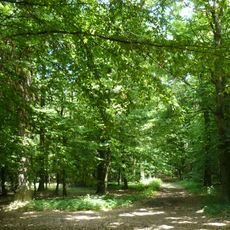 Veselský háj a rybník Smrkovák