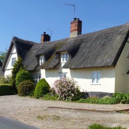 Silvertails And Shameen