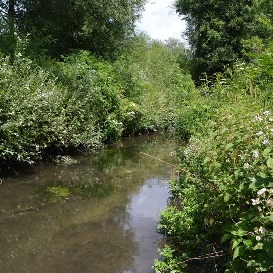 Watercress Wildlife Site