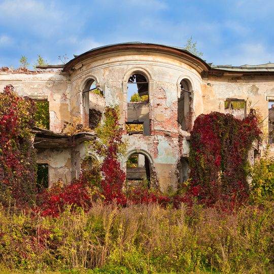 Petrovskoye Estate, Aleksin