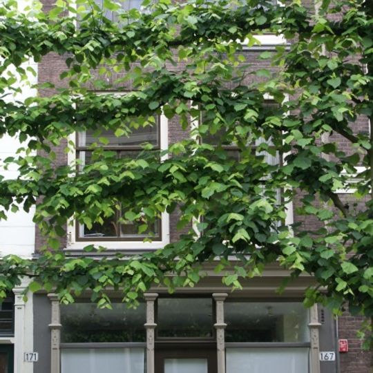 Pand met eenvoudige, verkropte lijstgevel