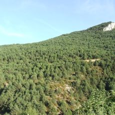 Obac de la Creu de Ferri