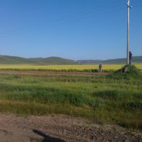 Horqin Right Middle Banner