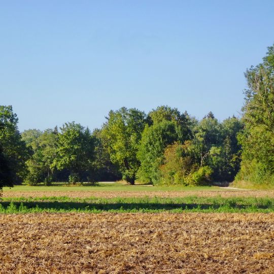 Triftwiesen Germering