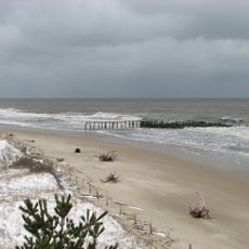 Parc d'État du cap Henlopen