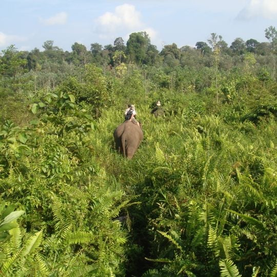 Parco nazionale di Tesso Nilo