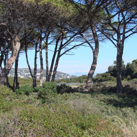 Ile Sainte Marguerite