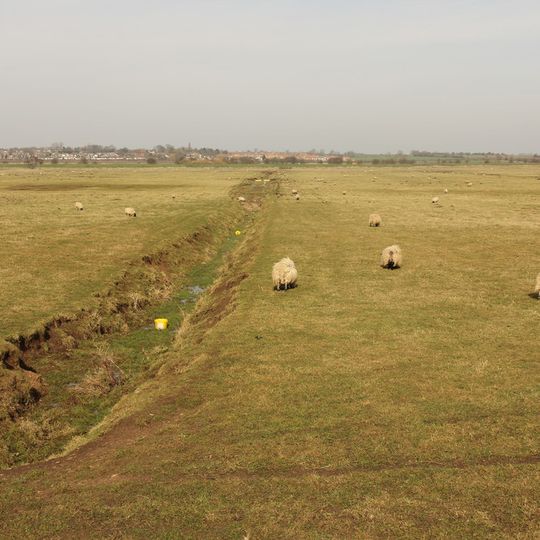 Car Dyke between Washingborough and Common Square