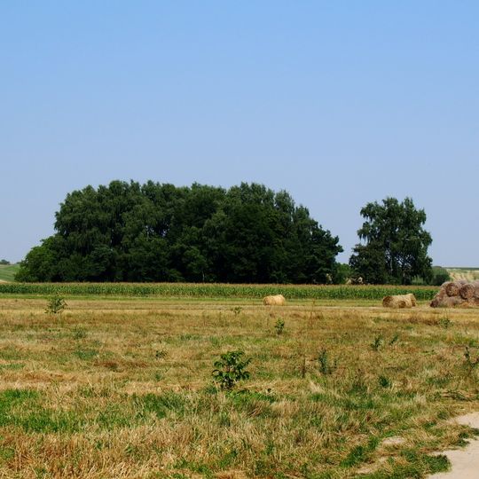 Cmentarz wojenny z I wojny światowej w Kolonii Pęcławskiej
