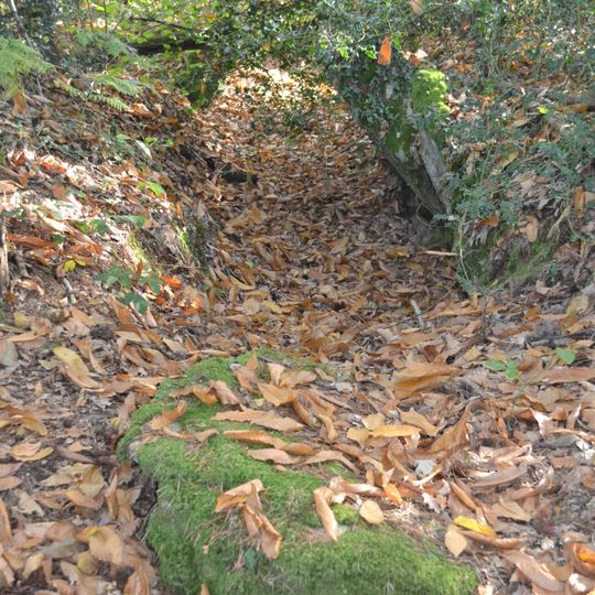 Allée couverte de la Grée de Trévelot