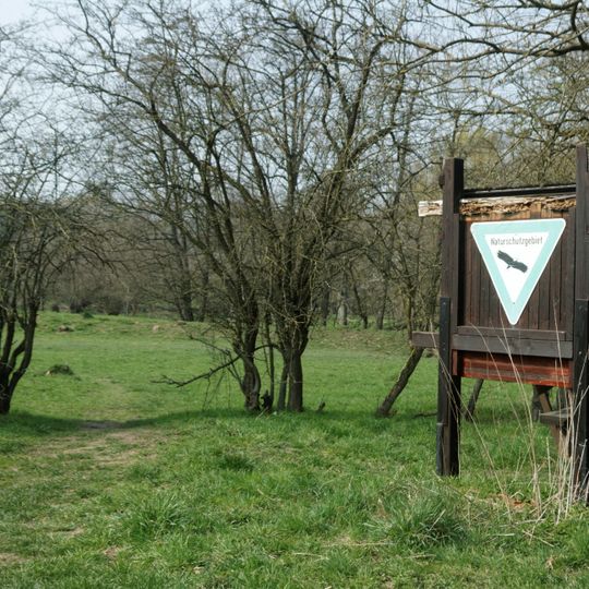 NSG Muensterbusch zwischen Hamm und Haumuehle