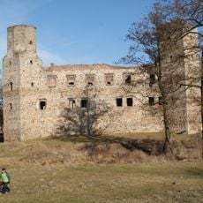 Drzewica Castle