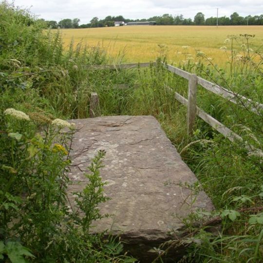 Ballyboodan Ogham Stone