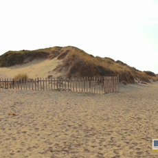 Parco naturale regionale Dune costiere da Torre Canne a Torre S.Leonardo