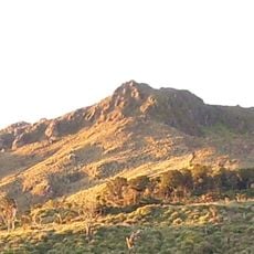 Apo
