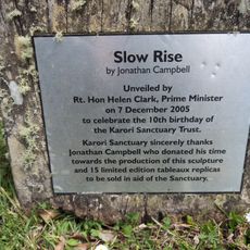 Slow Rise