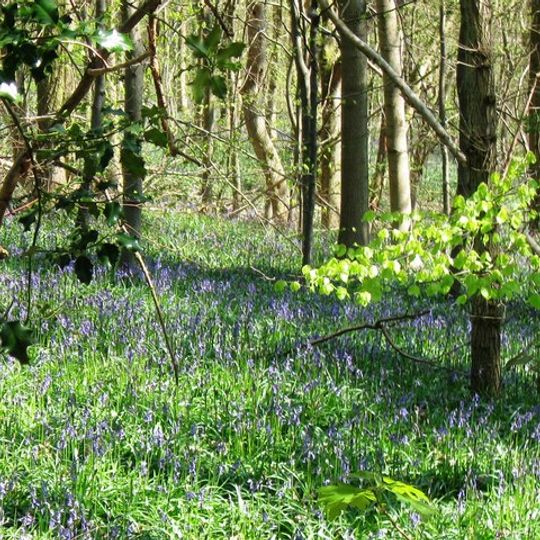 Dancersend Nature Reserve