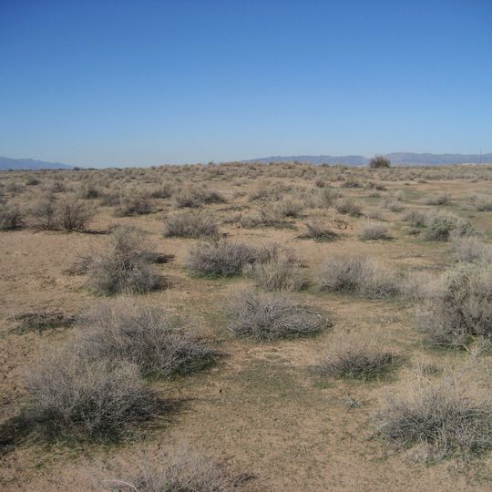 Hohokam Pima National Monument