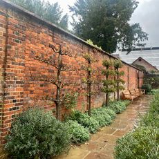 Wall And Adjacent Posts On Side Of The Vintry Garden To Numbers 3 And 3A