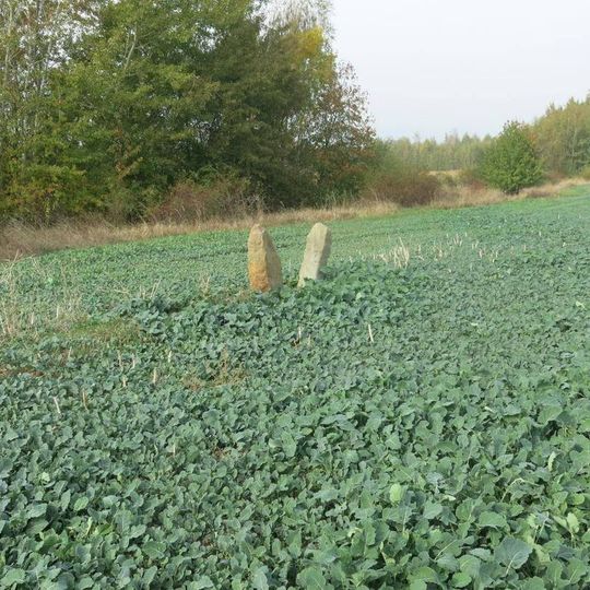 Menhiry v poli severozápadně od Droužkovic